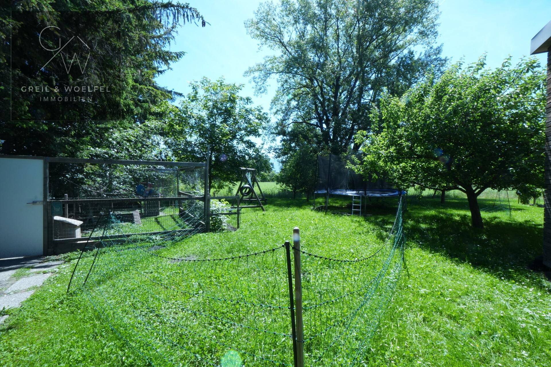 Impressionen Garten (2)