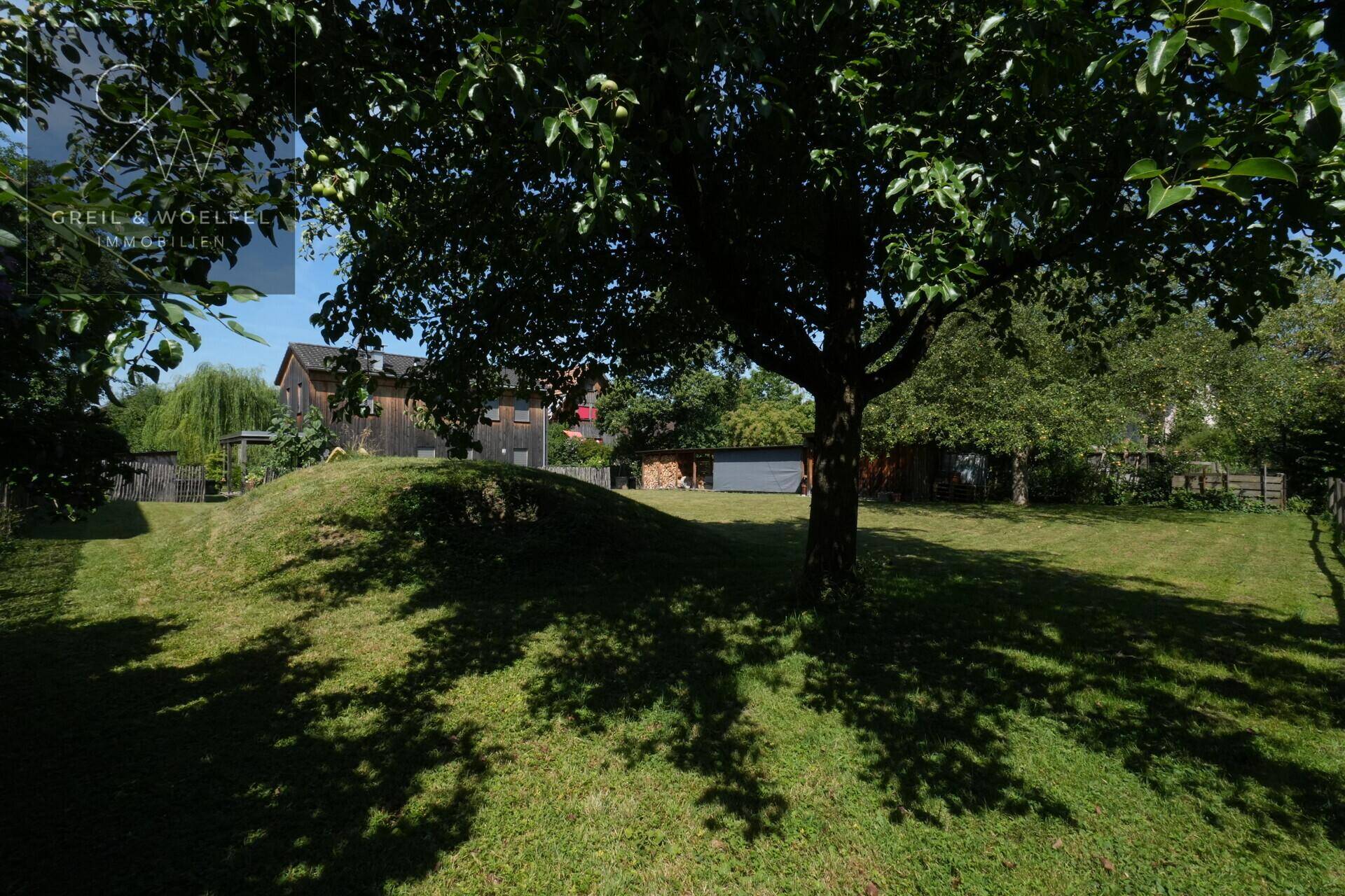 Grüne Rasenfläche mit einem großen Baum im Vordergrund, der Schatten wirft, und einem Haus sowie Schuppen im Hintergrund.