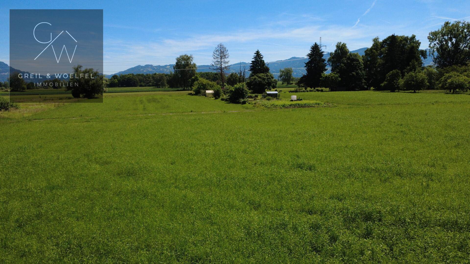 Ausblick Richtung Ried