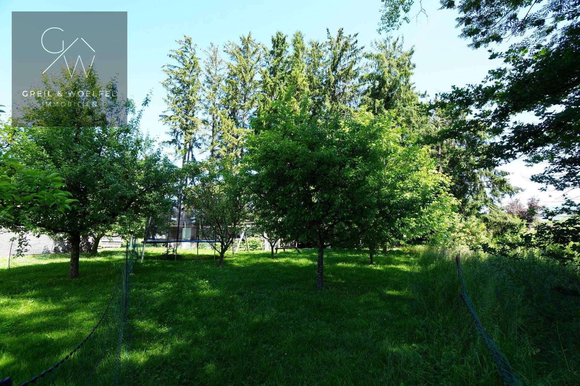 Impressionen Garten 2 (2)