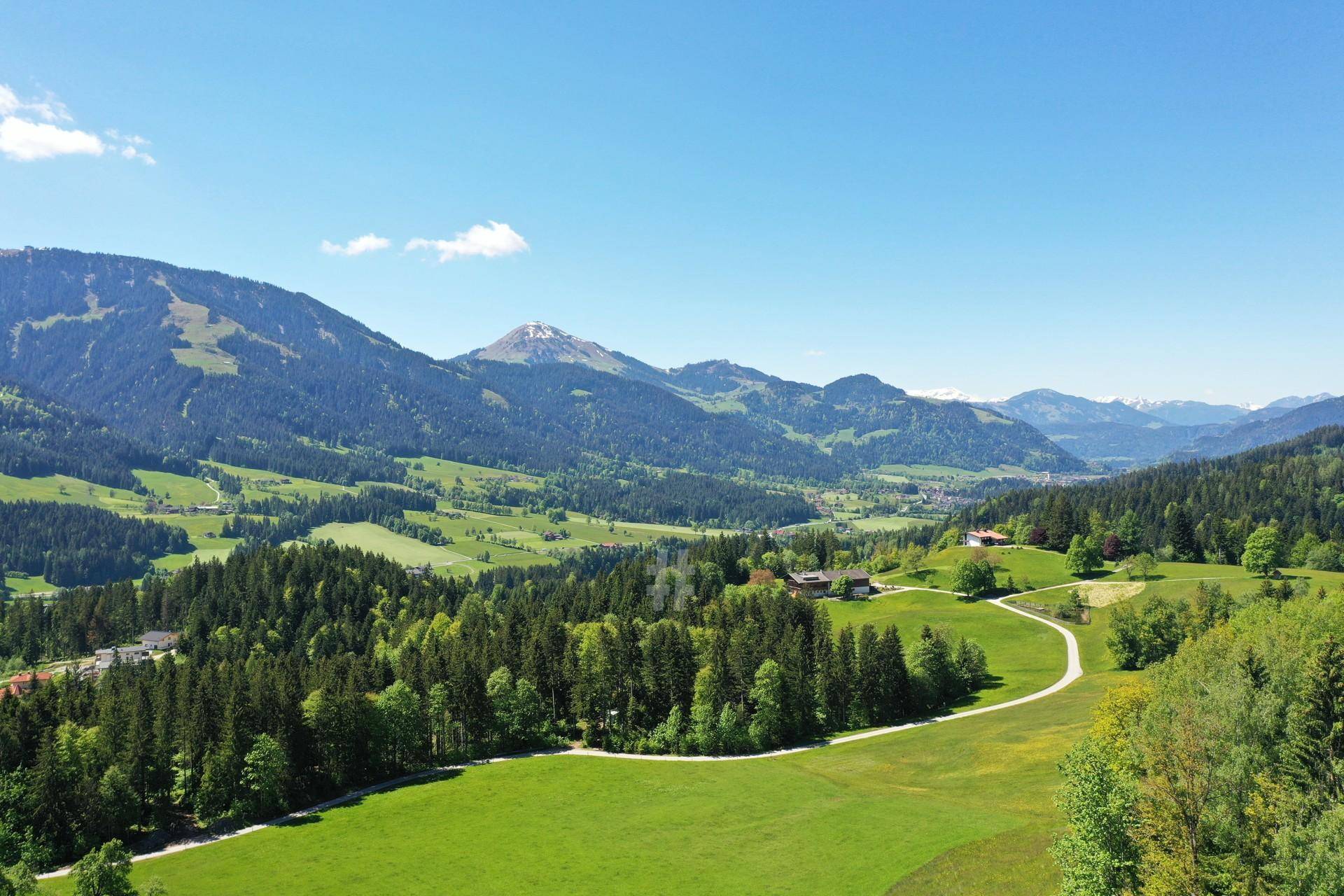 Weitläufiger Panoramablick über ein grünes Tal mit Wäldern, Wiesen und schneebedeckten Berggipfeln.