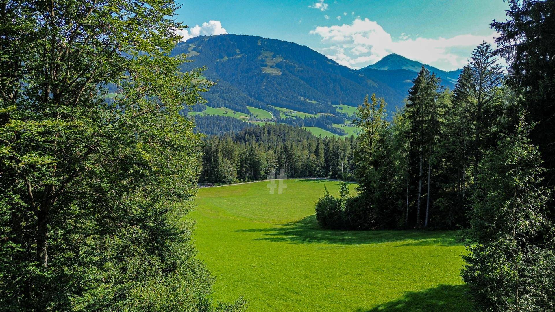 Malerischer Blick auf eine weite grüne Wiese und bewaldete Berge unter blauem Himmel.