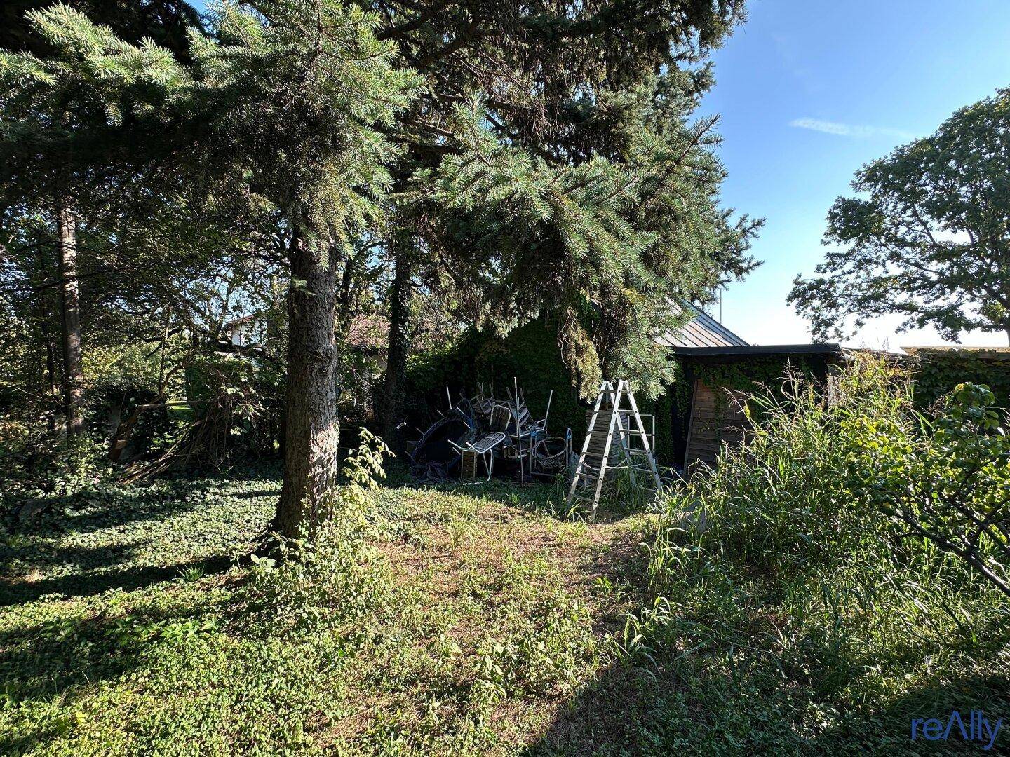 Slide 3
