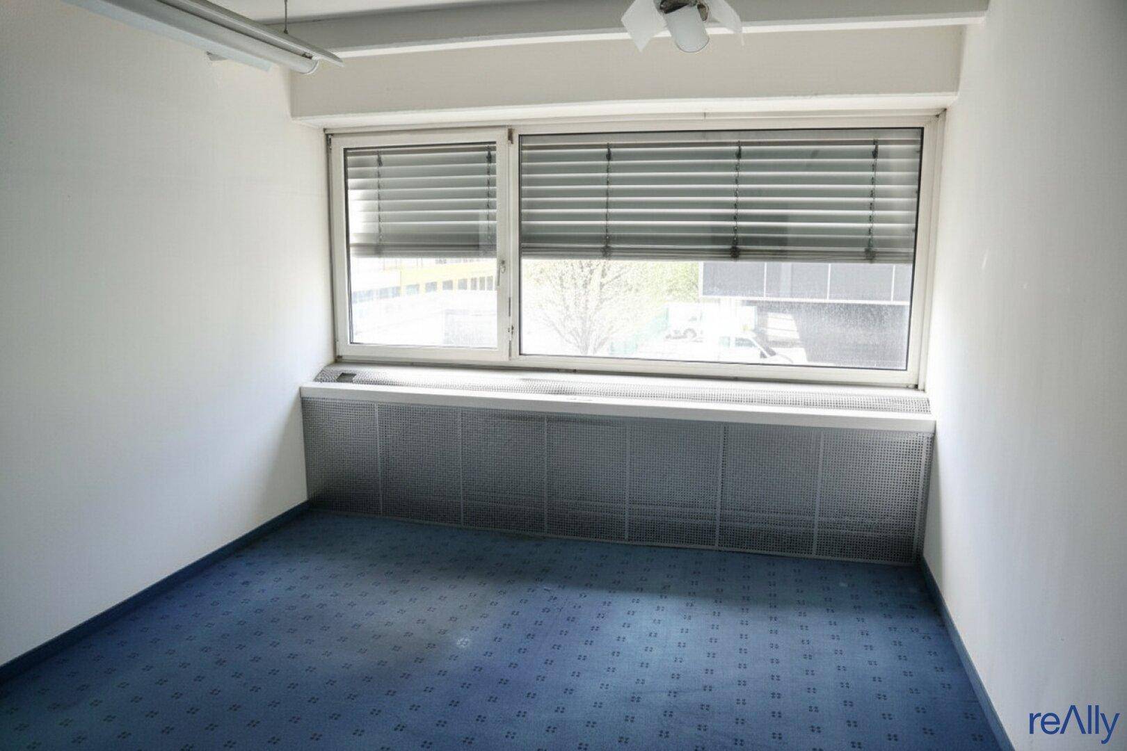 Büro mit blauem Teppichboden, einem Fenster mit Jalousien und Heizkörperverkleidung.