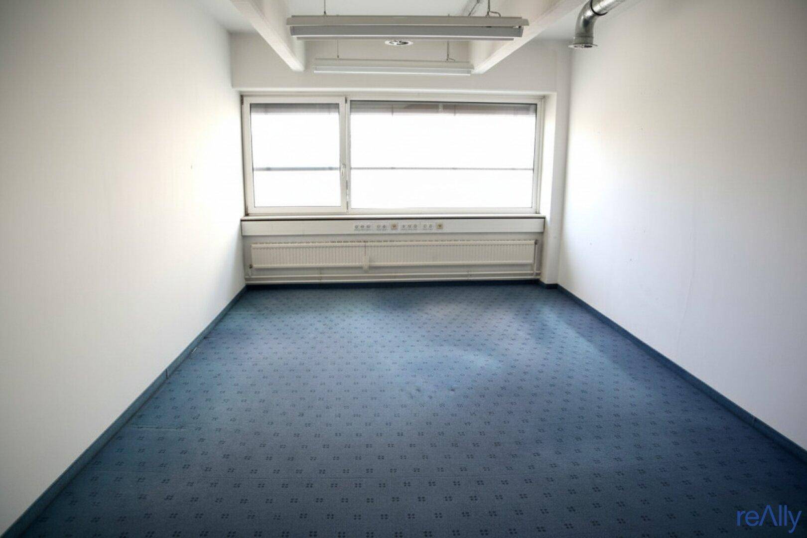 Kleineres Büro mit blauem Teppichboden, einem großen Fenster und Heizkörper unter der Fensterbank.