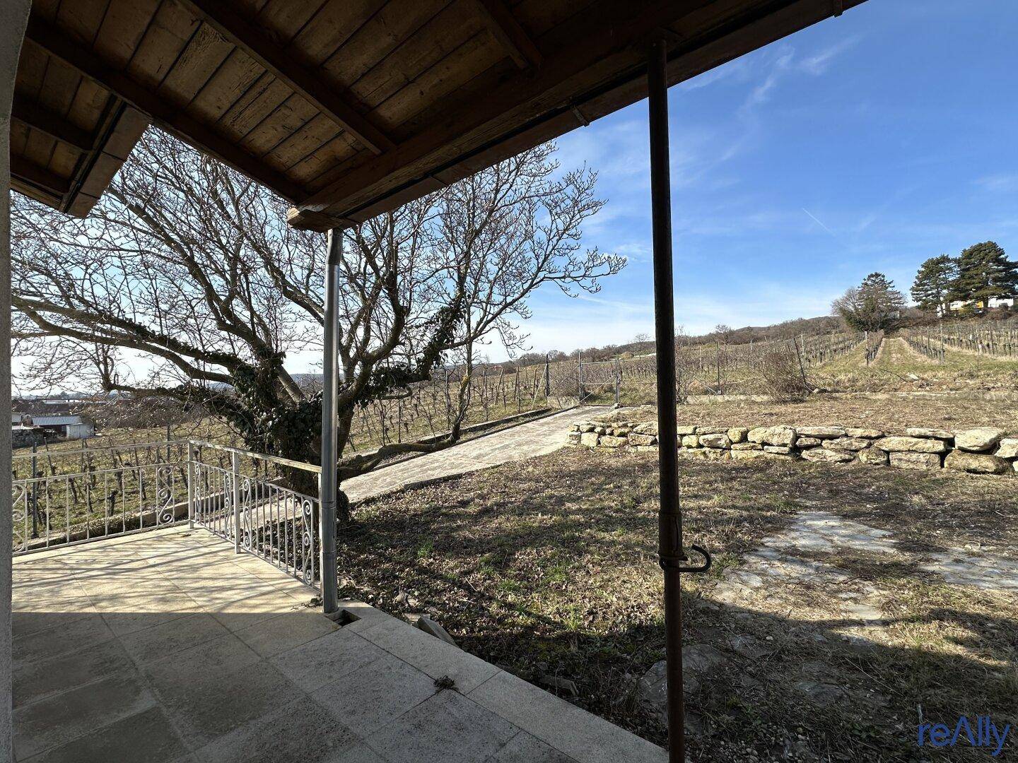 Attraktives Grundstück mit Haus in erhöhter Lage und traumhaftem Weitblick – großes Potenzial in Purbach am Neusiedler See - Mehr