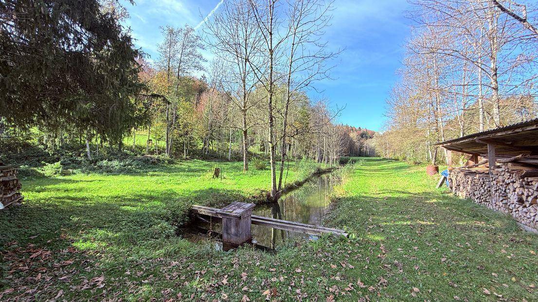 … AIGNER – Großzügig renoviertes Anwesen mit Pferdestall, Werkstatt- und Garagenflächen sowie Bachlauf in idyllischer Lage am Wolfgangsee … - Ansicht 4
