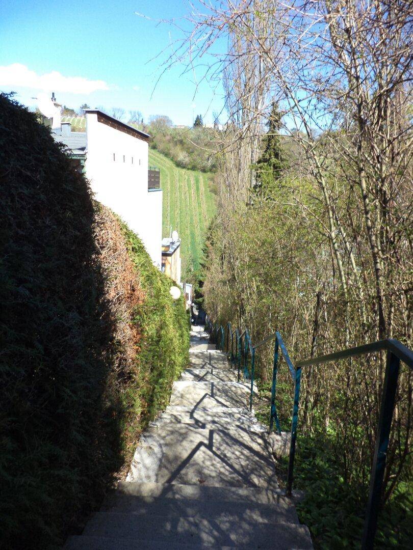 Langer Treppenweg führt bergab, gesäumt von einer hohen Hecke und Bäumen, mit Blick auf Weinberge.