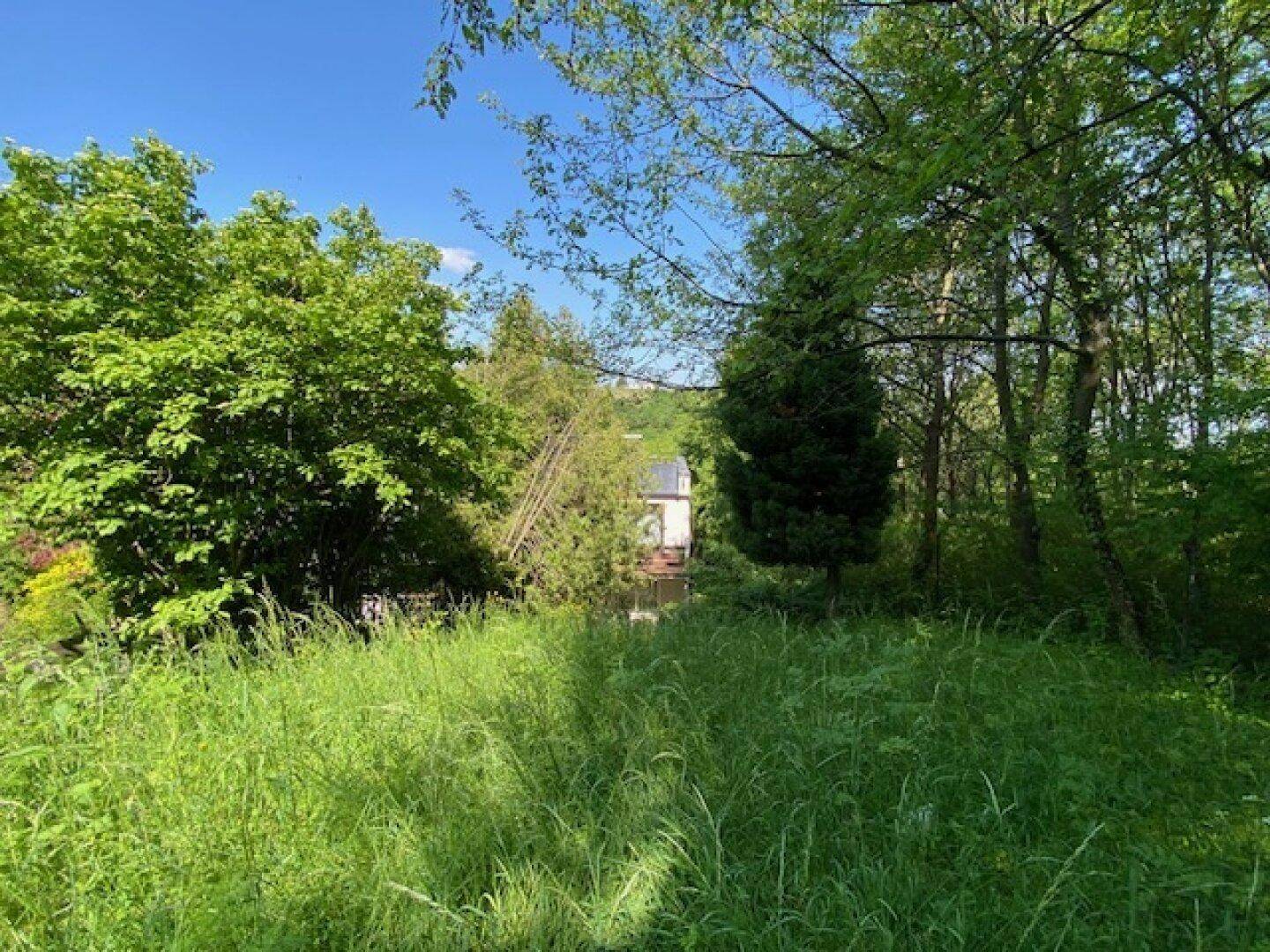 Weite, grüne Wiese mit einem Gebäude im Hintergrund, umgeben von dichtem Baumbestand.