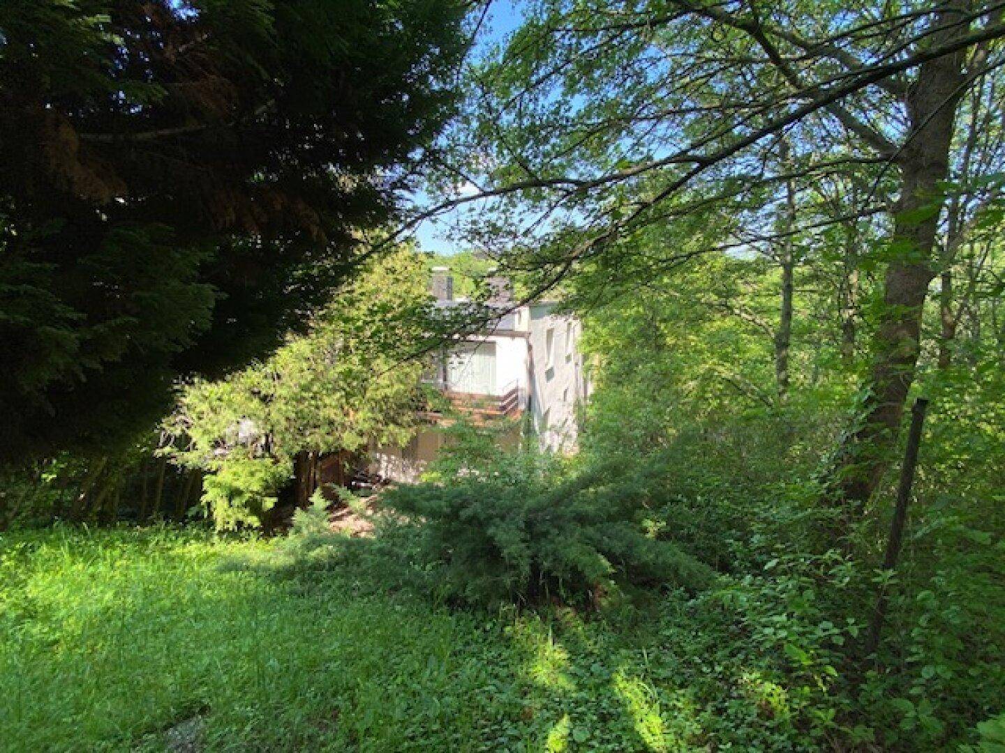 Gebäude, umgeben von dichtem Wald und einer grünen Wiese im Vordergrund, unter hellem Sonnenlicht.