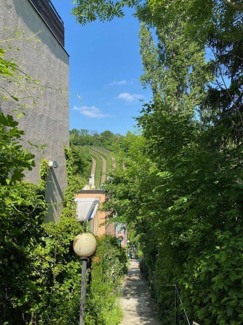 Treppenweg führt bergauf, umgeben von üppigem Grün, mit Blick auf entfernte Weinberge unter blauem Himmel.