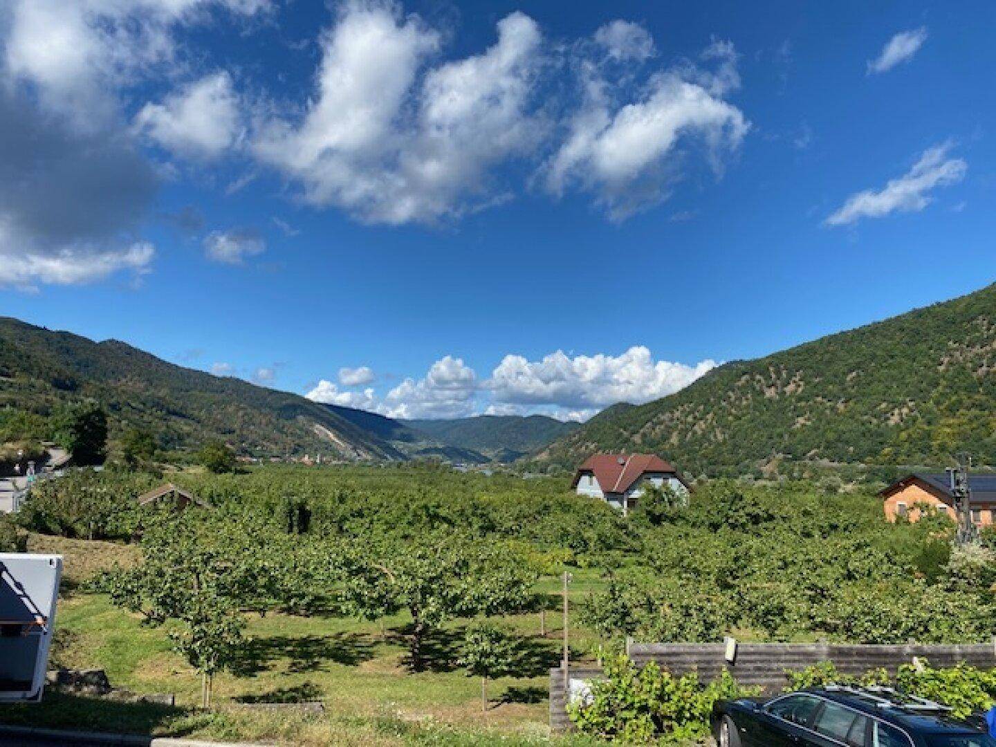 Weitläufiger Blick über ein Tal mit Weinbergen, Häusern und bewaldeten Bergen unter blauem Himmel.