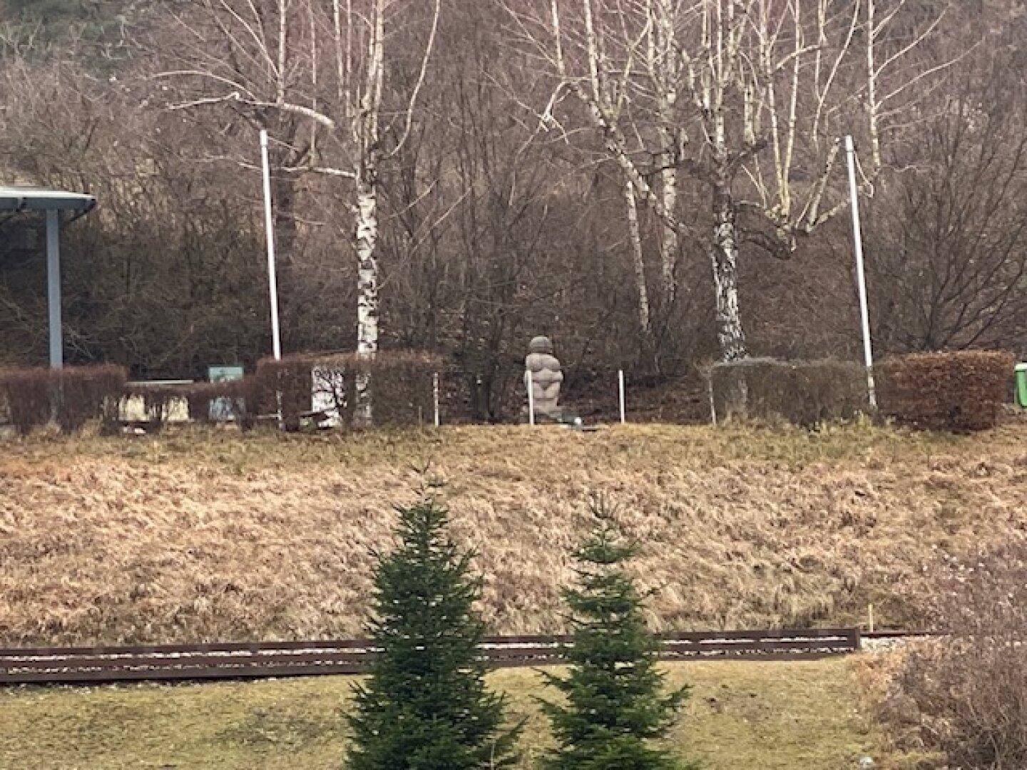 Blick auf eine bewaldete Hügellandschaft mit Bahngleisen im Vordergrund unter trübem Himmel.