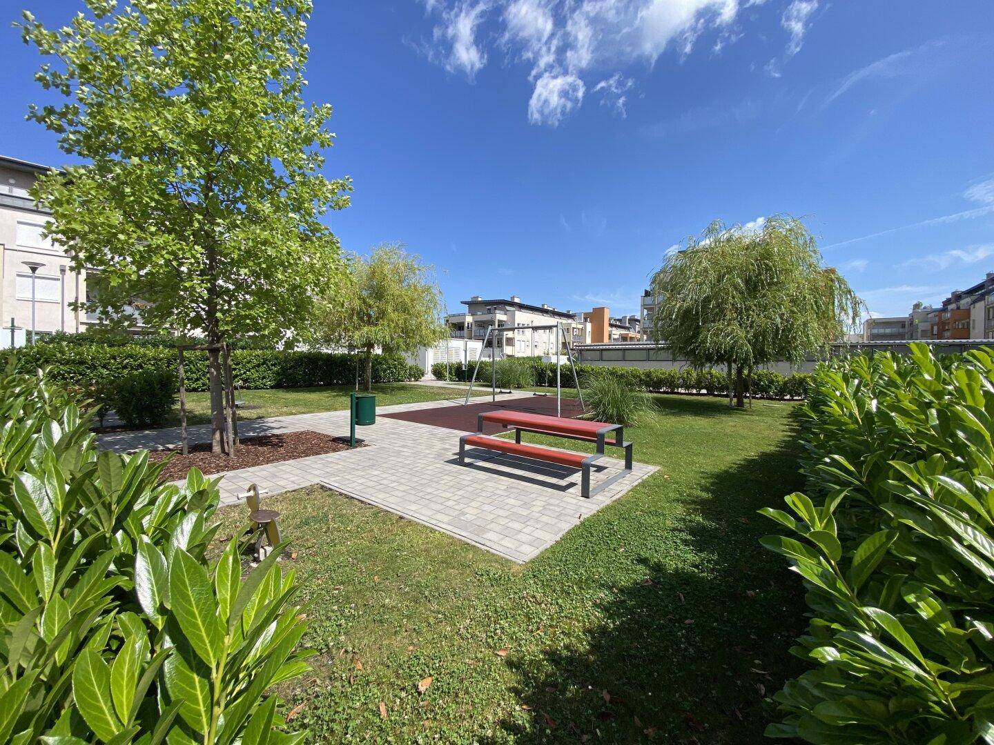 Grüner Spielplatz mit Schaukeln und Bänken, umgeben von Bäumen und Büschen.