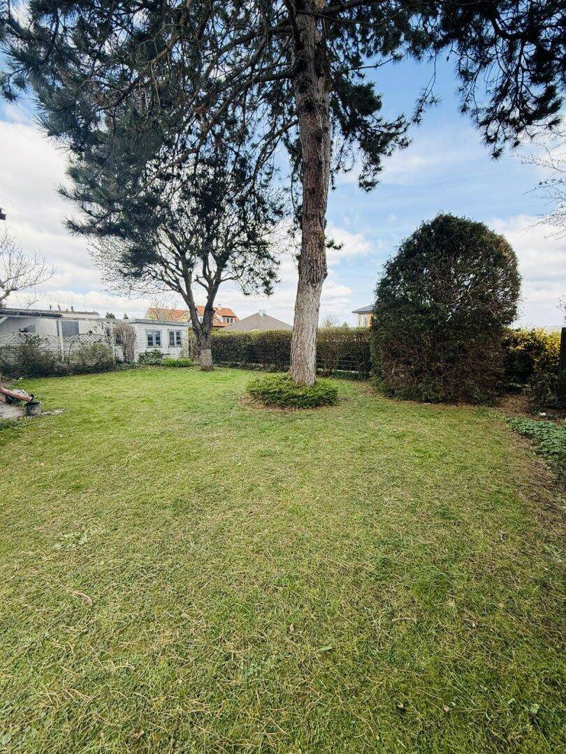 Weitläufiger Garten mit gepflegtem Rasen, hohen Bäumen und einer dichten Hecke im Hintergrund.