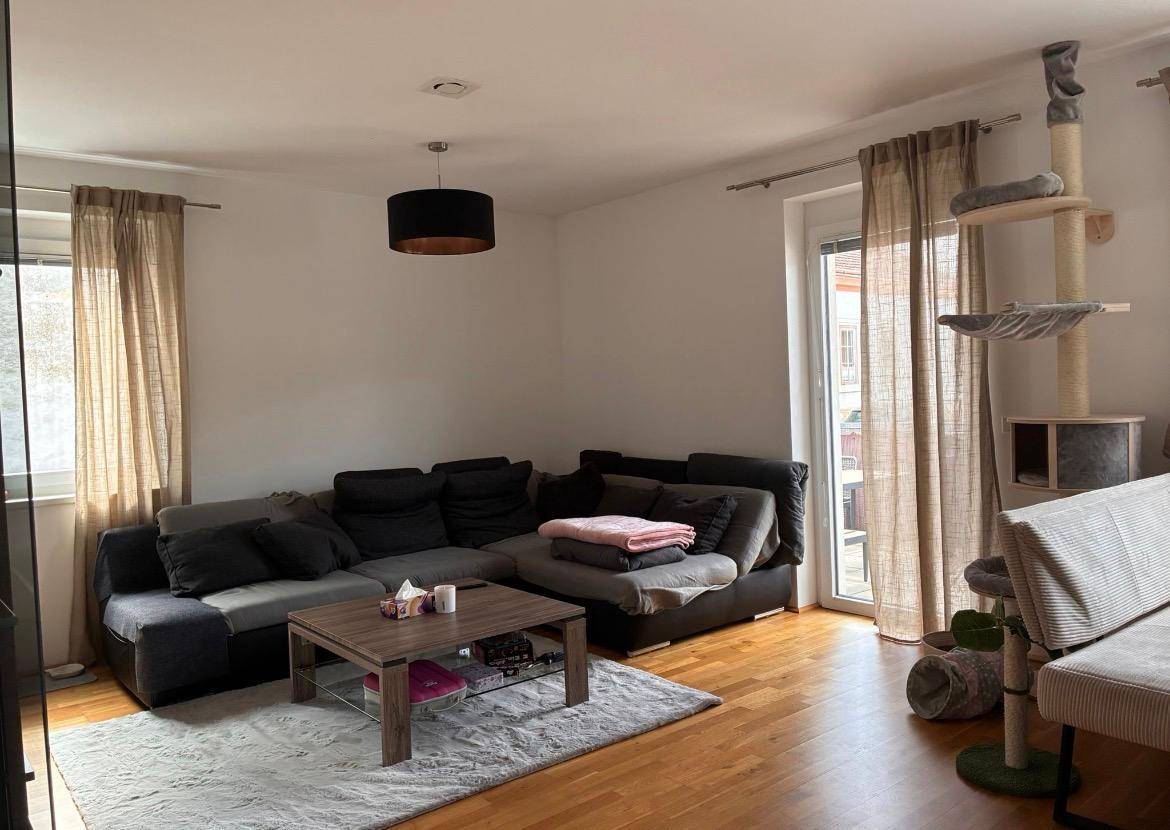 Gemütliches Wohnzimmer mit großem Ecksofa, Holzboden und einem Kratzbaum, hell durch Tageslicht.