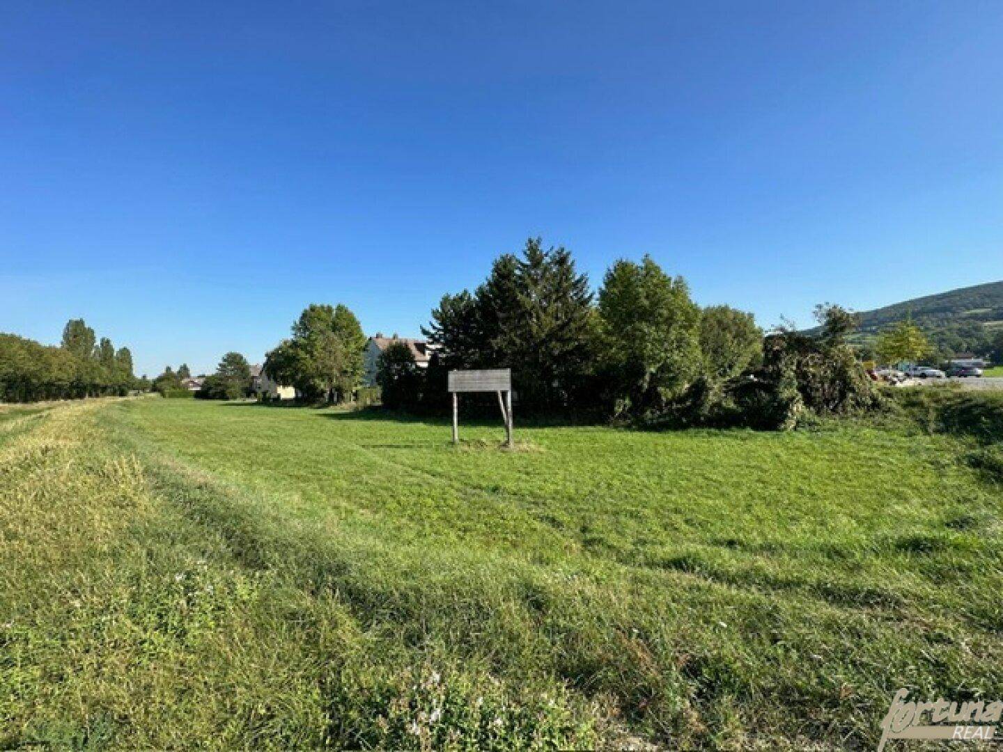 Sonniges grünes Feld mit einem Holzschild und Häusern im Hintergrund unter klarem Himmel.