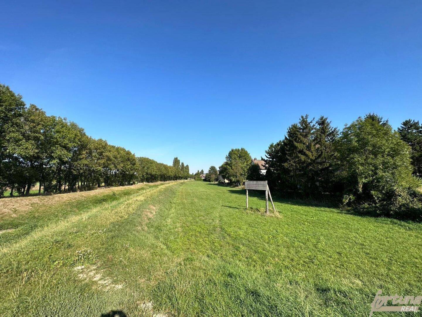 Langes grünes Feld mit Baumreihen und einem kleinen Holzschild unter strahlend blauem Himmel.