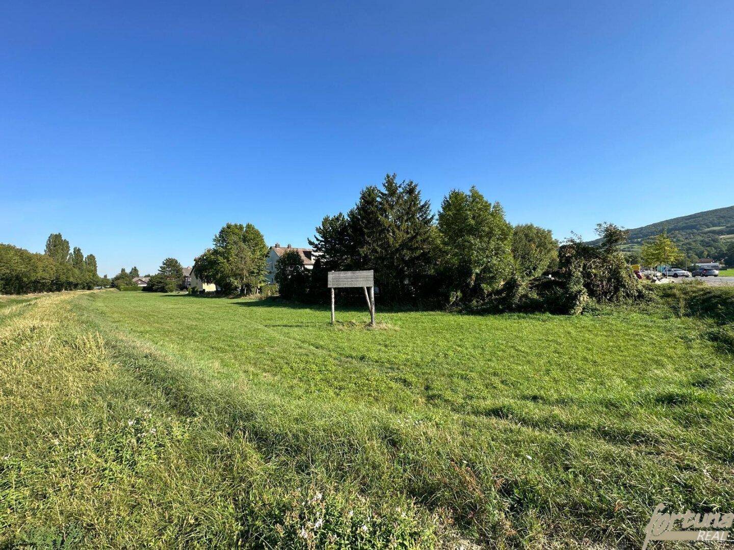 Sonniges grünes Feld mit einem Holzschild und Häusern im Hintergrund unter klarem Himmel.
