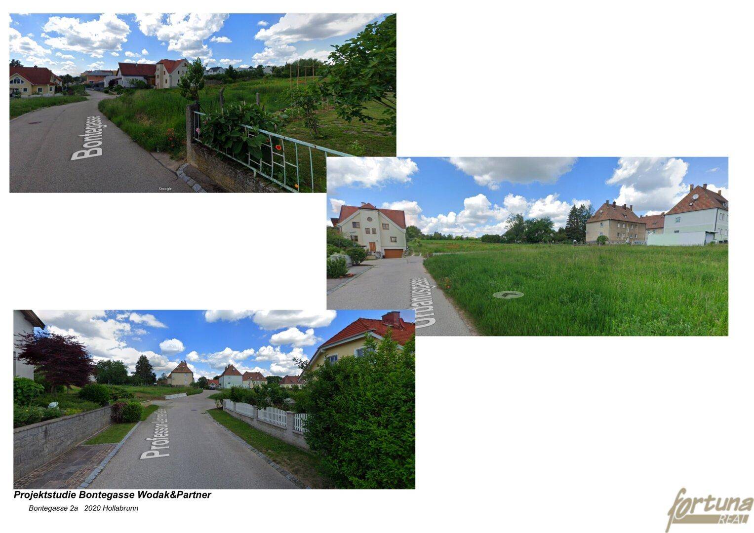 Slide 8