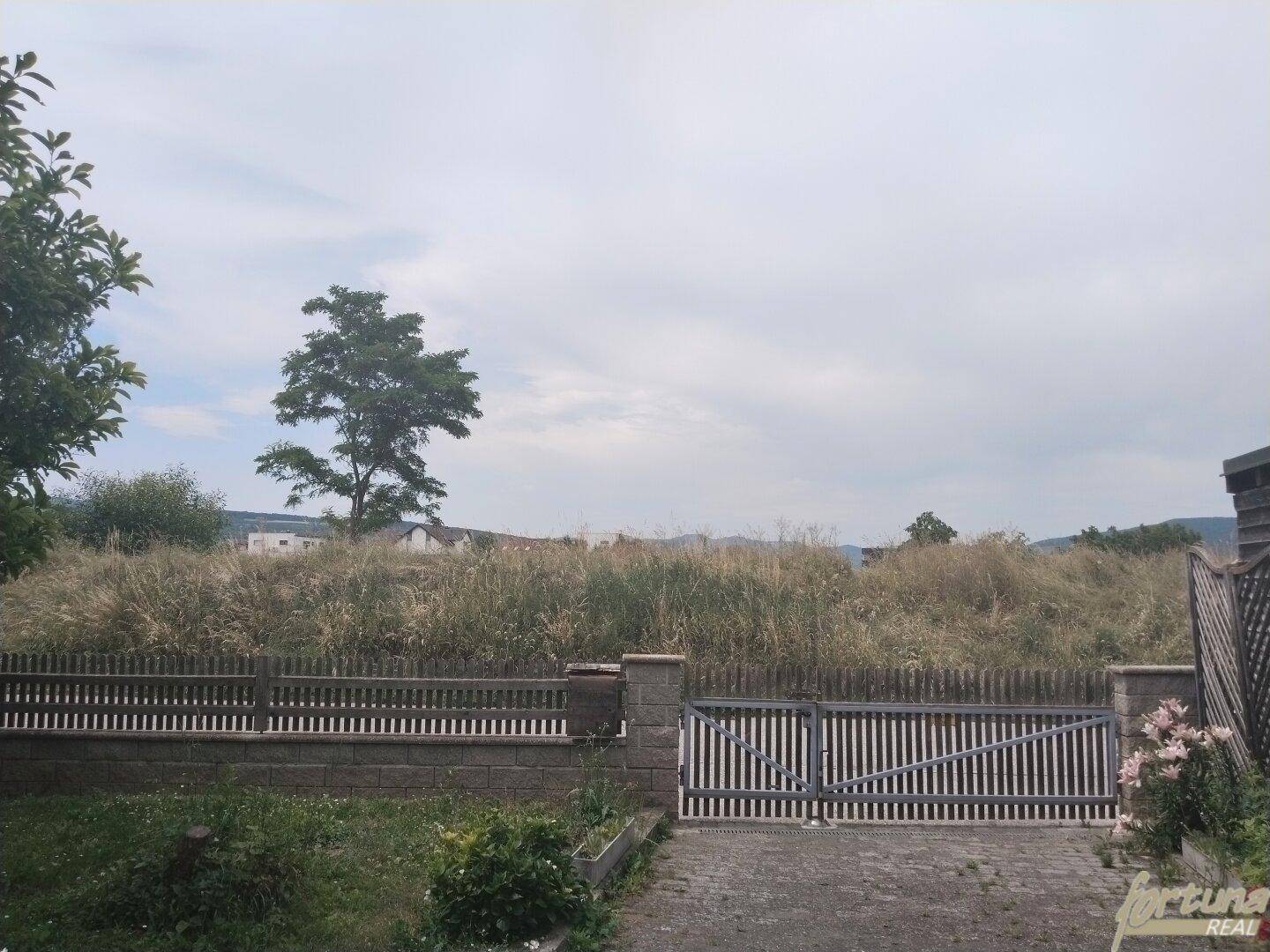 Ausblick vom Grundstück