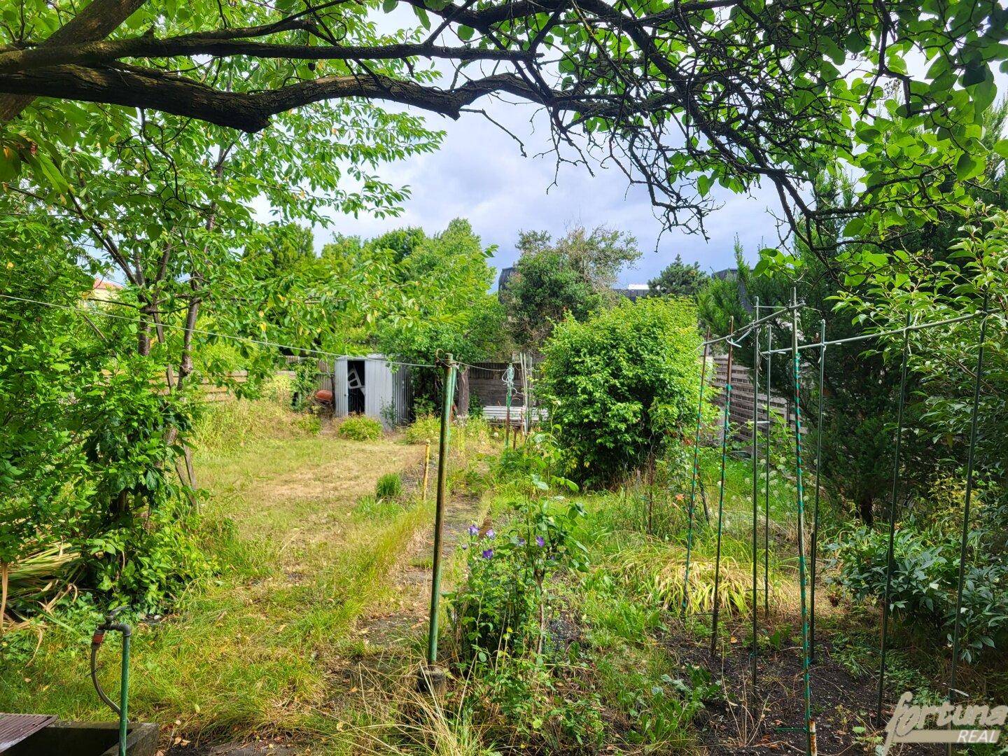 Garten westseitig
