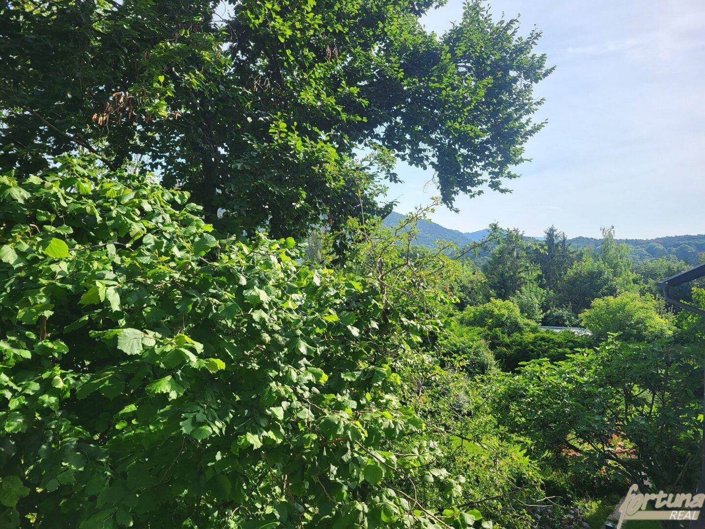 Fernblick