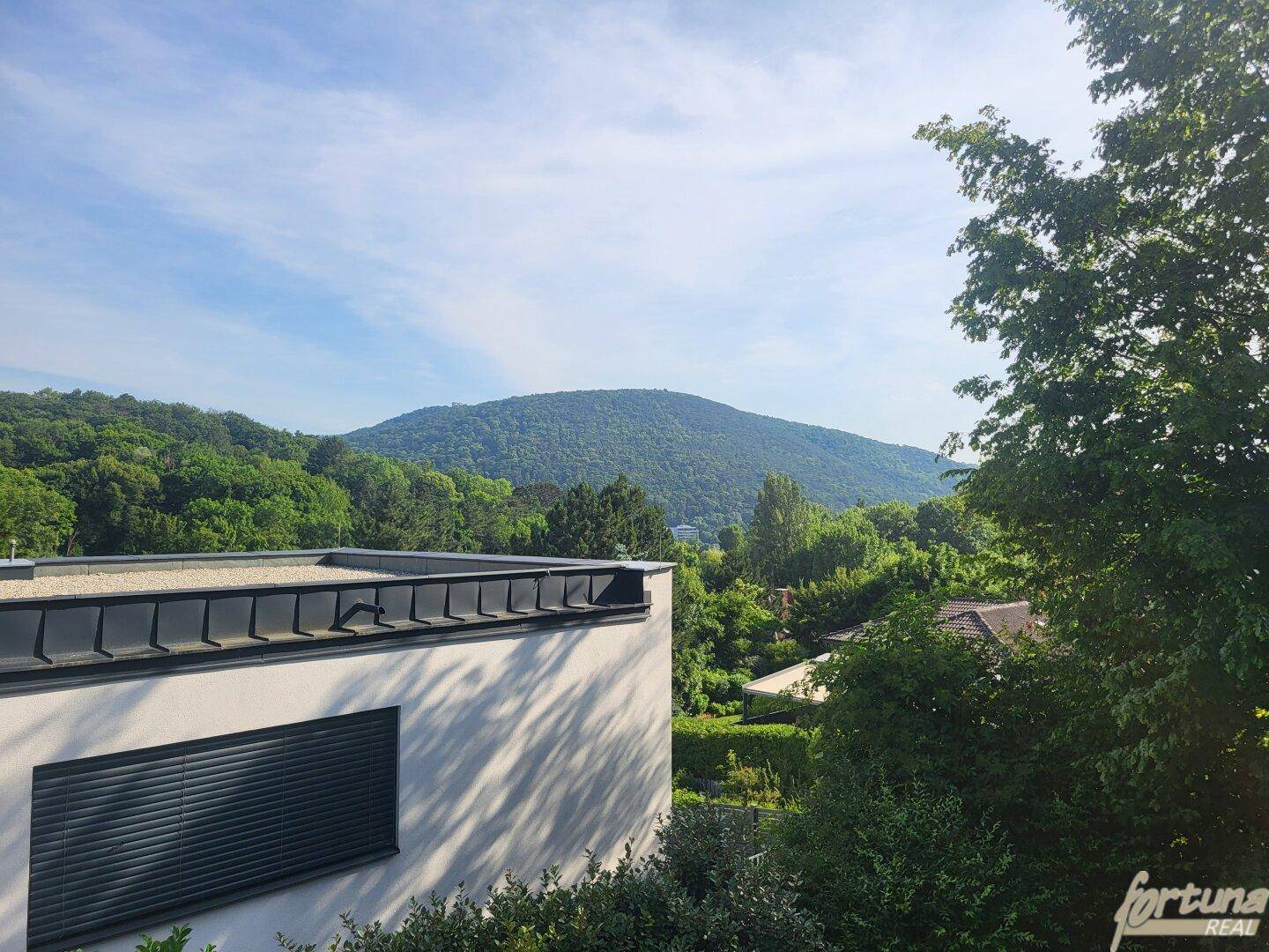 traumhafter Fernblick