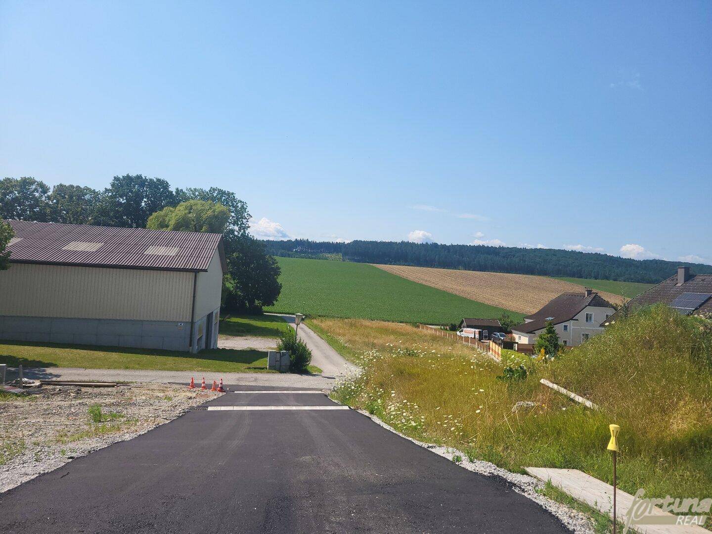 Ländliche Straße führt durch grüne Felder mit Blick auf weitere Gebäude und Wälder.