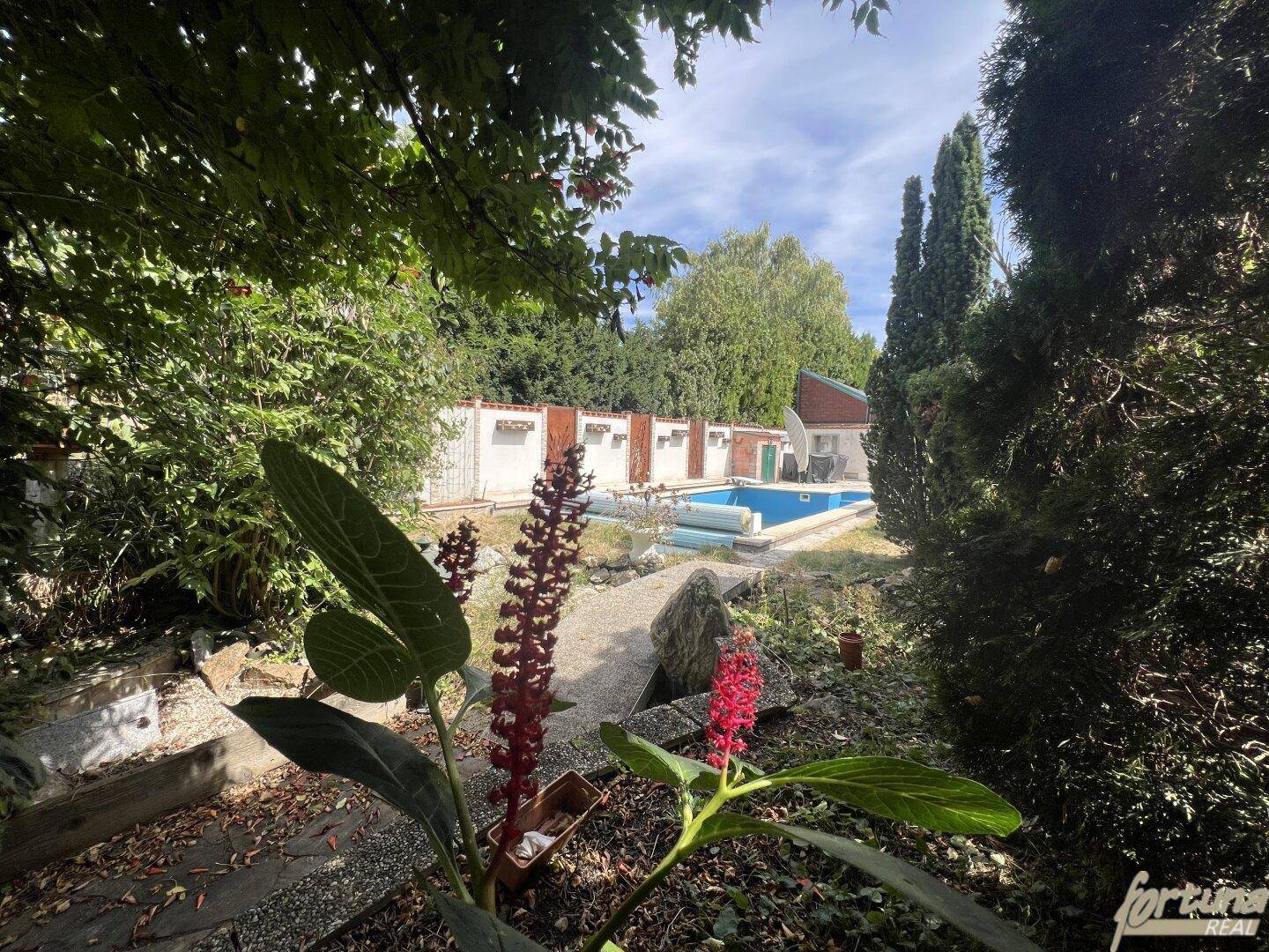 Garten rückseitig