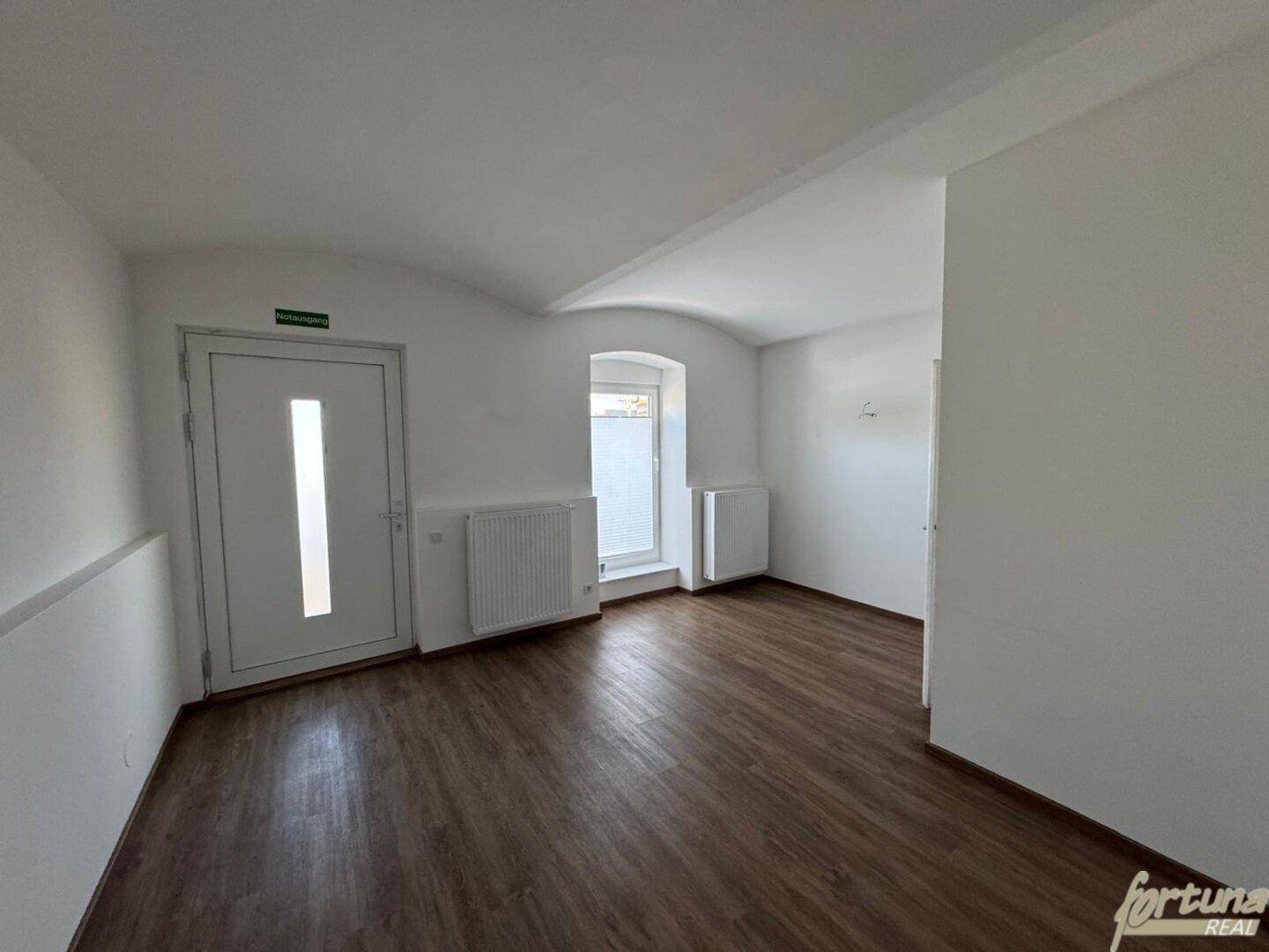 Eingangsbereich mit weißer Tür, Laminatboden und zwei Heizkörpern unter Fenstern.