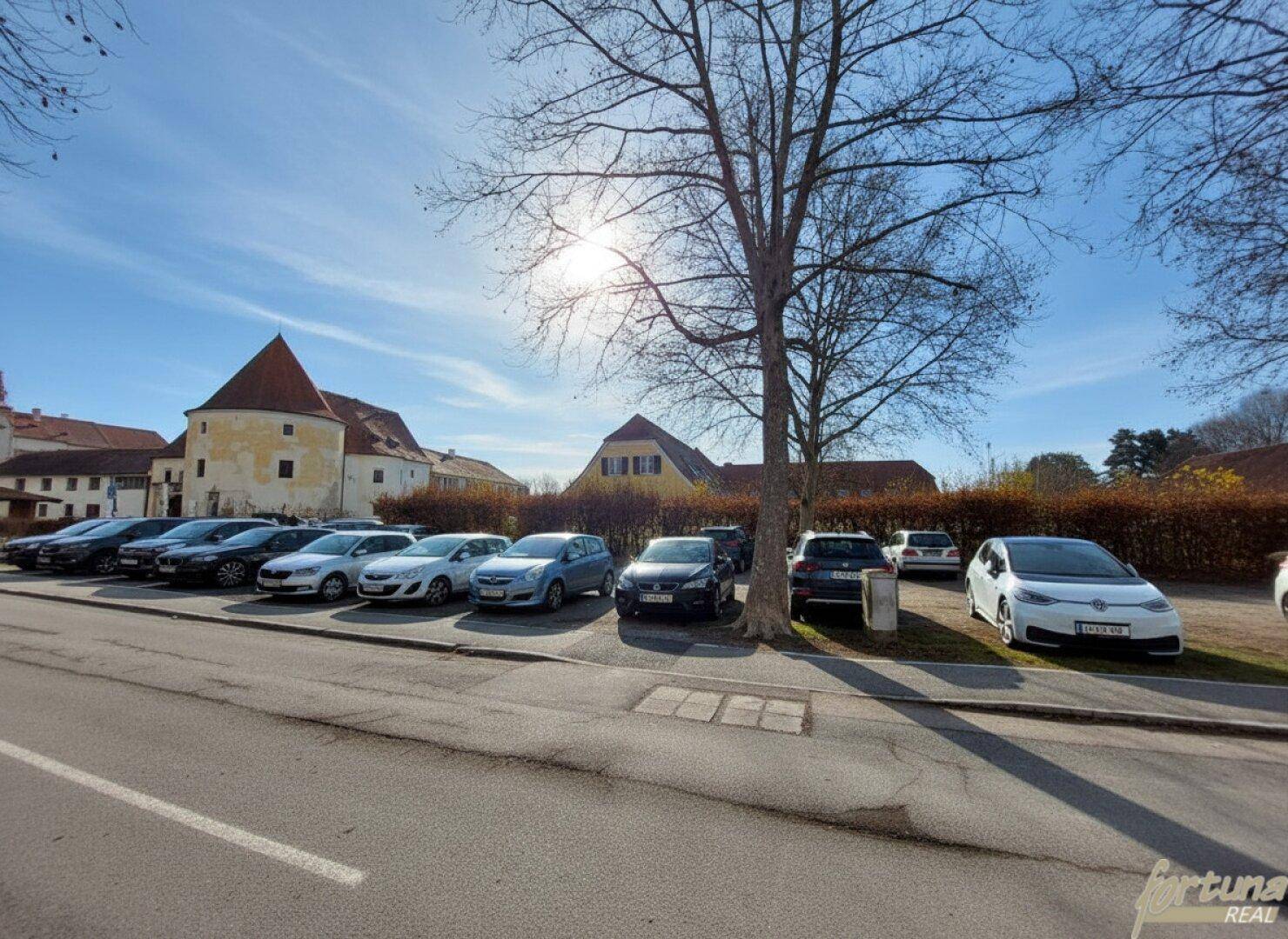 Parkplatz mit mehreren Autos unter einem großen Baum, im Hintergrund historische Gebäude unter strahlendem Himmel.