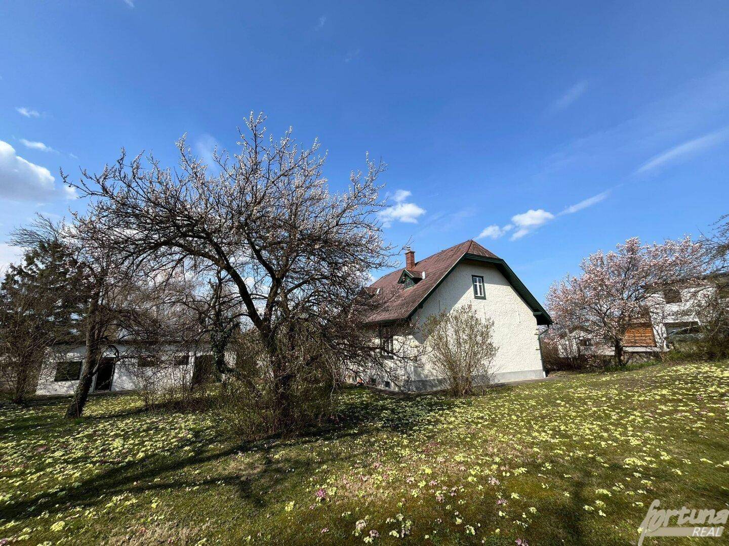 Hausfassade mit Garten und blühenden Bäumen unter blauem Himmel.