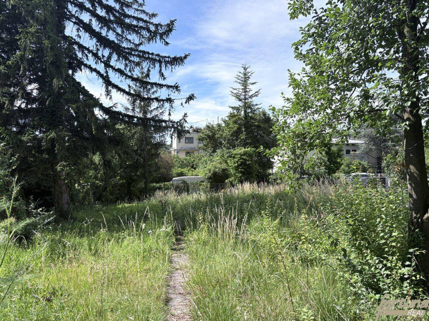 Baugrund in Grünruhelage am Wilhelminenberg - Ansicht 4