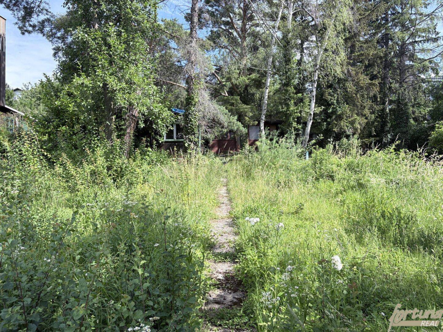 Baugrund in Grünruhelage am Wilhelminenberg - Ansicht 3
