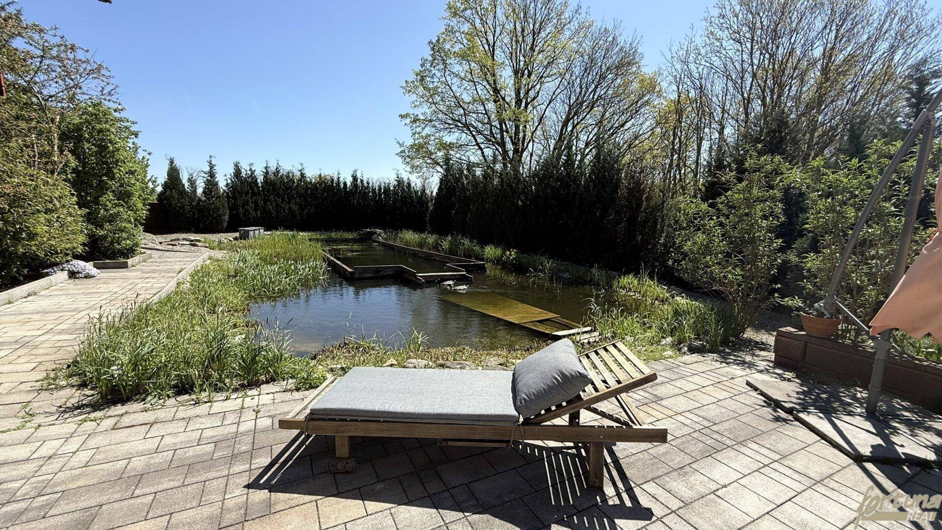 Gepflasterte Terrasse mit Sonnenliege am natürlichen Schwimmteich, umgeben von Hecken und Bäumen.