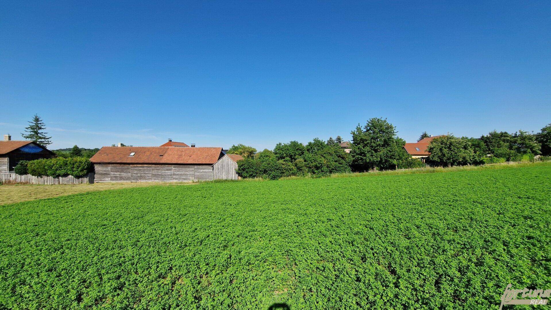 Blick auf ein weites grünes Feld mit vereinzelten Häusern und Bäumen am Horizont unter blauem Himmel.