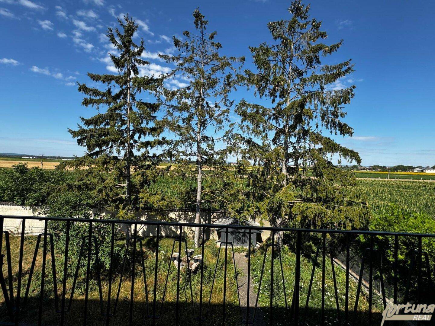 Balkon mit weitem Blick über grüne Felder und hohe Bäume unter blauem Himmel.