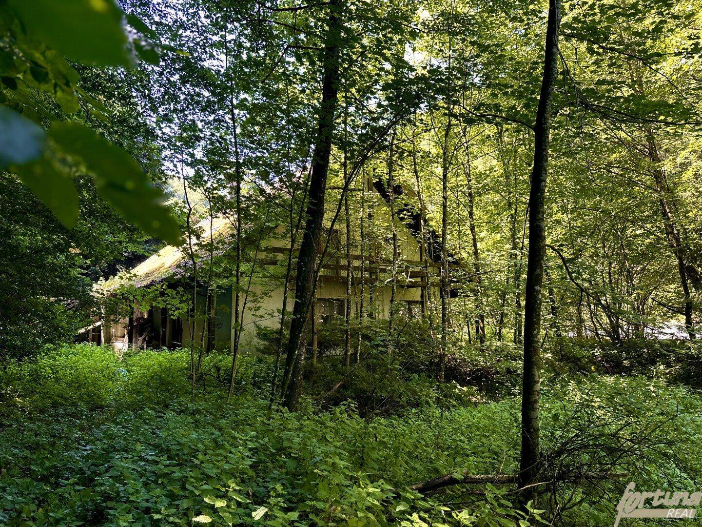 Verstecktes Wohnhaus, umgeben von dichtem Wald und üppigem Grün, nur teilweise sichtbar.
