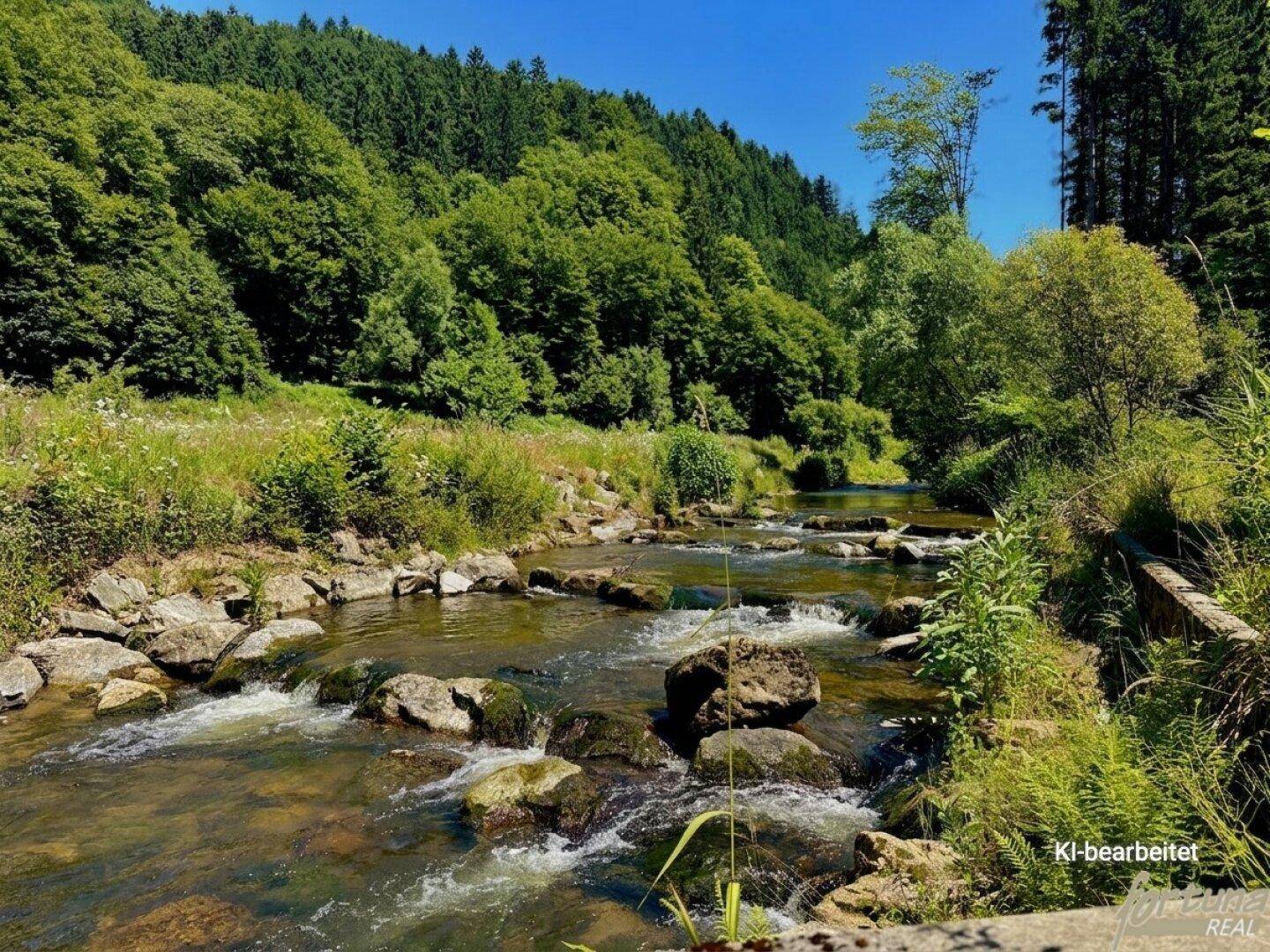 Klarer Fluss mit Felsen und Stromschnellen, umgeben von grünen Bäumen und Sträuchern unter blauem Himmel.