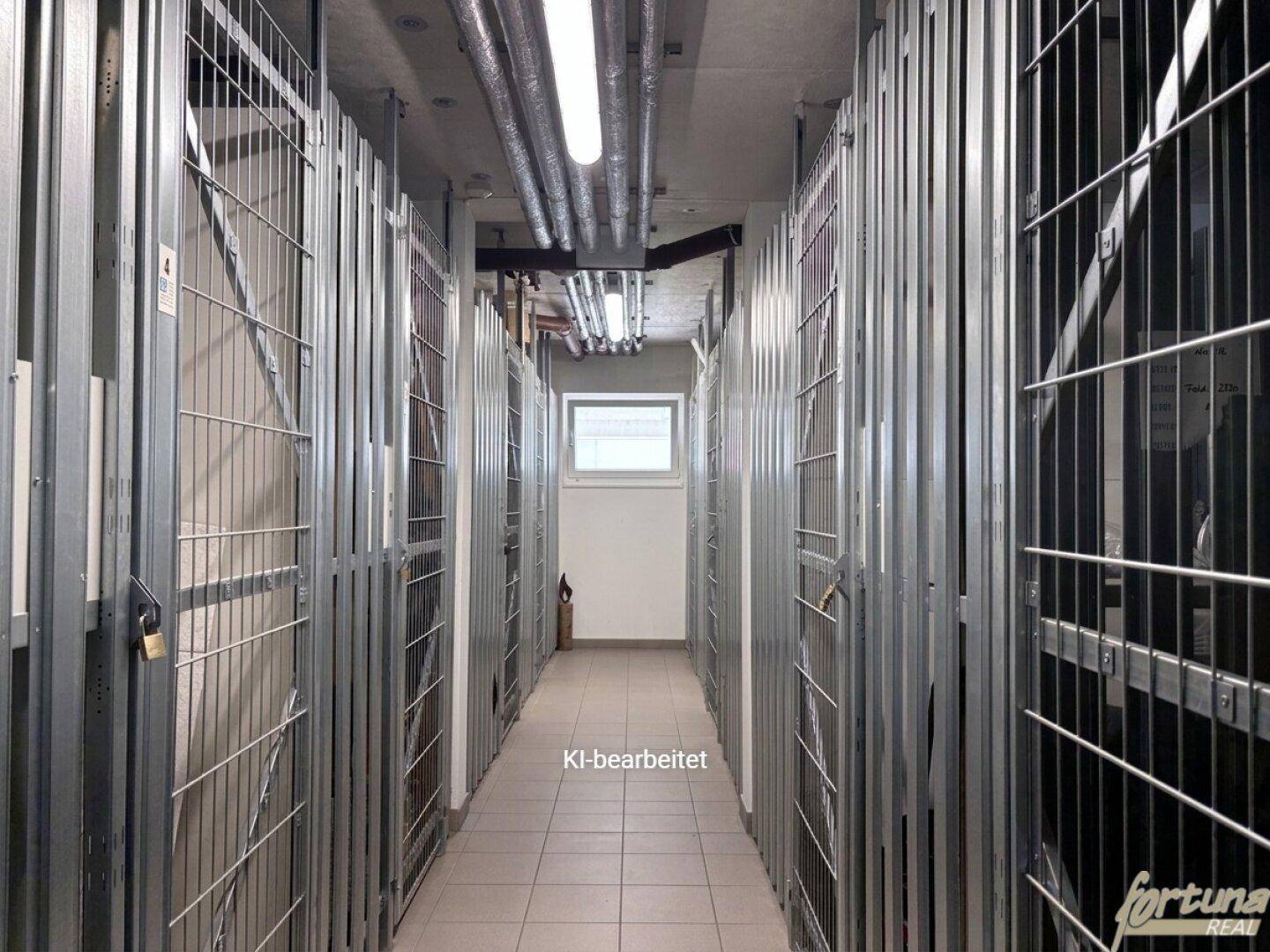 Kellerabteile mit Metallgittern bieten sicheren und organisierten Stauraum für Bewohner.