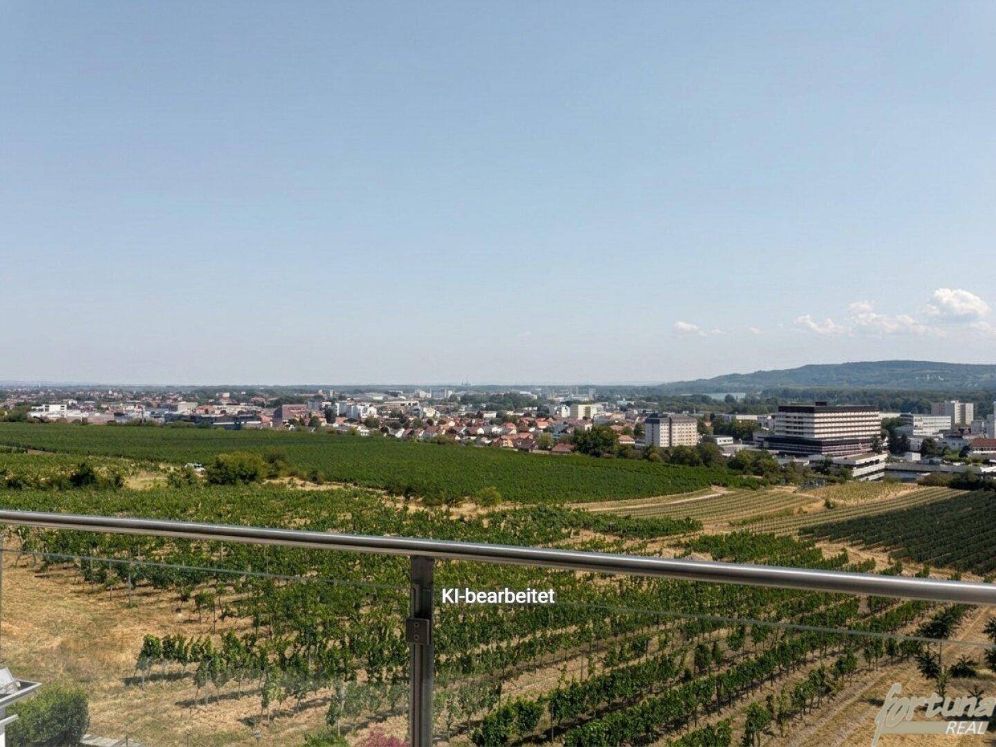 Panoramablick über Weinberge und die umliegende Stadtlandschaft unter blauem Himmel.
