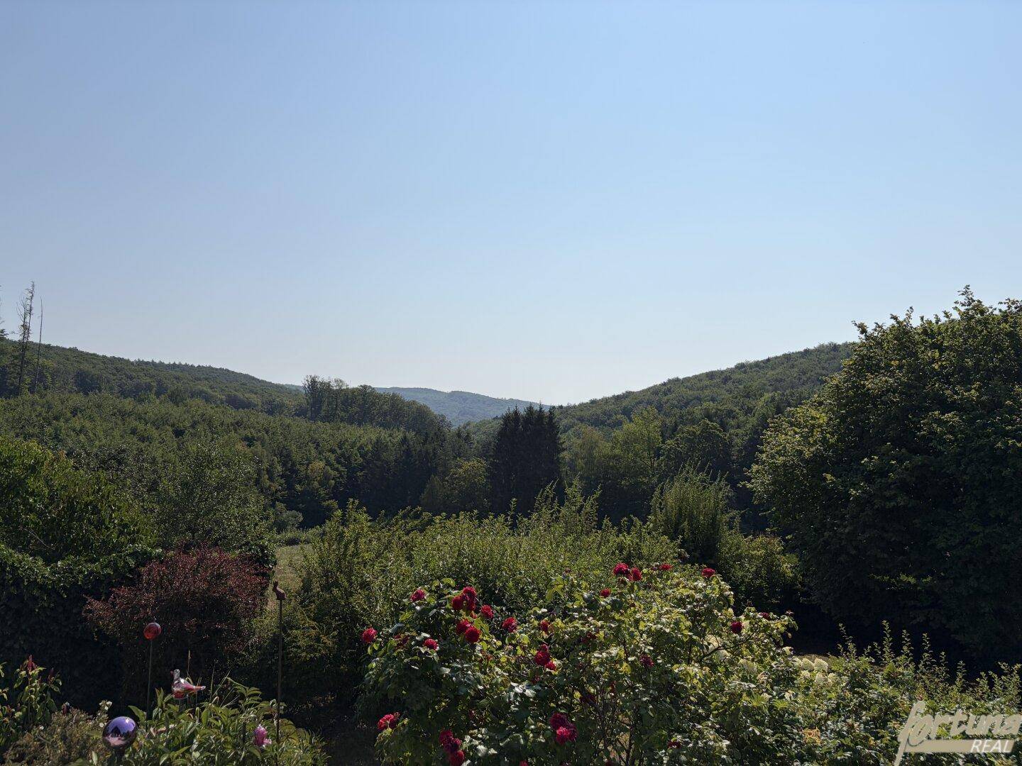 Weitläufiger Panoramablick über die grüne, bewaldete Hügellandschaft unter blauem Himmel.