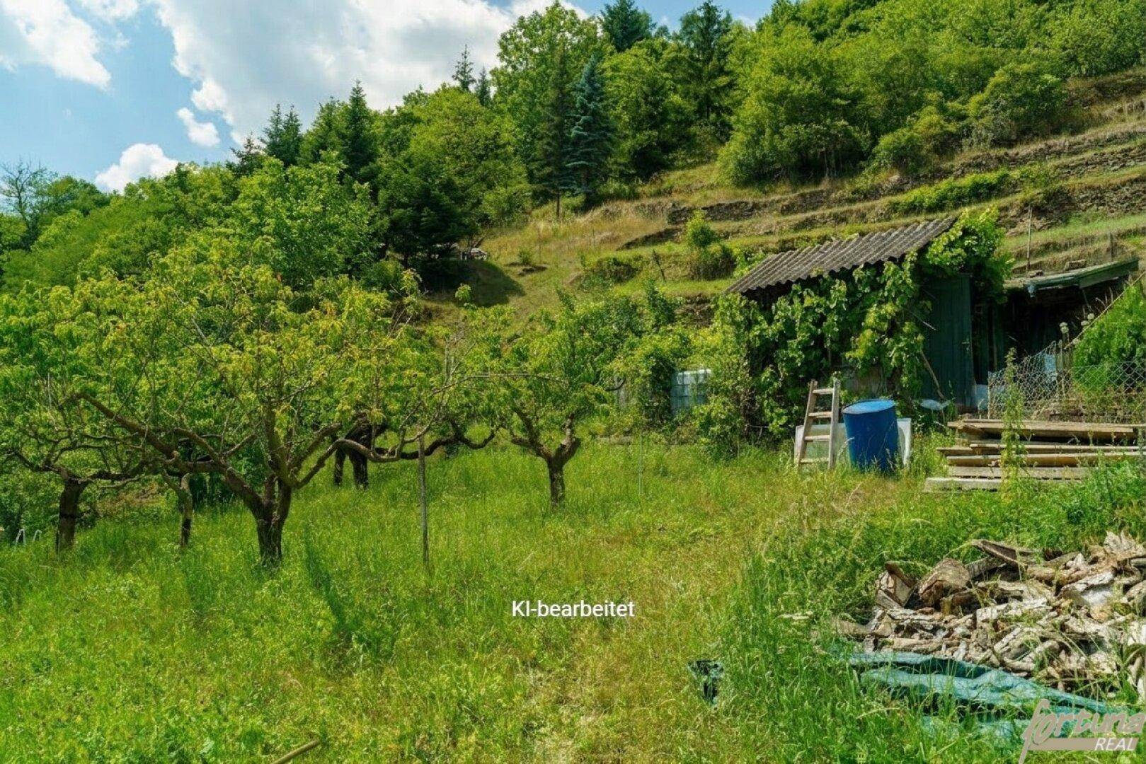 Naturbelassener Gartenbereich mit alten Obstbäumen und einem kleinen Schuppen am Hang.