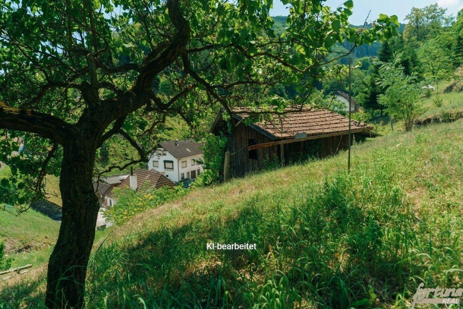 Alter Baum in einer Wiese mit einem rustikalen Holzschuppen und weiteren Häusern im Hintergrund.