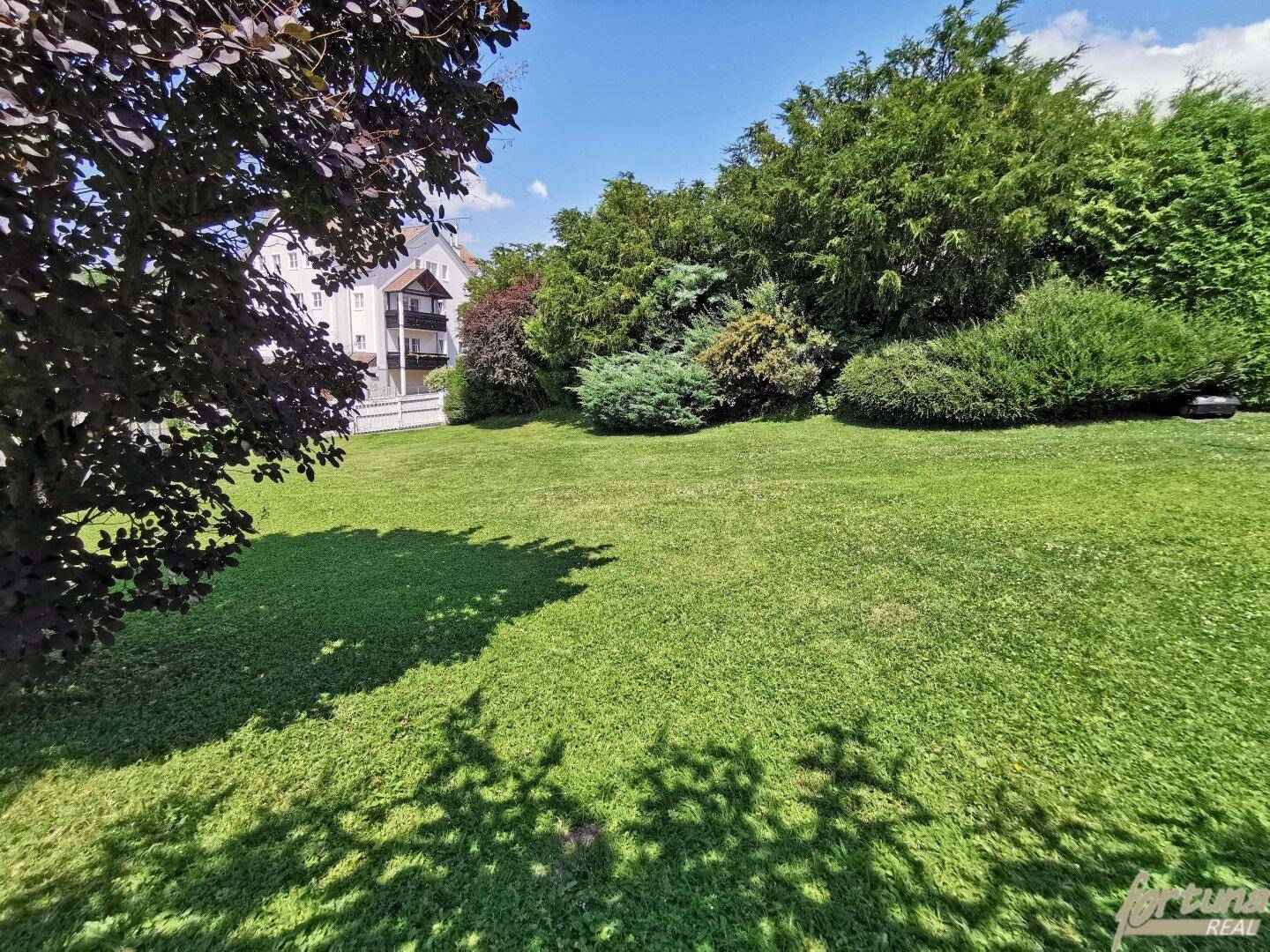 Weitläufige Rasenfläche im Garten, umgeben von Bäumen und Sträuchern.