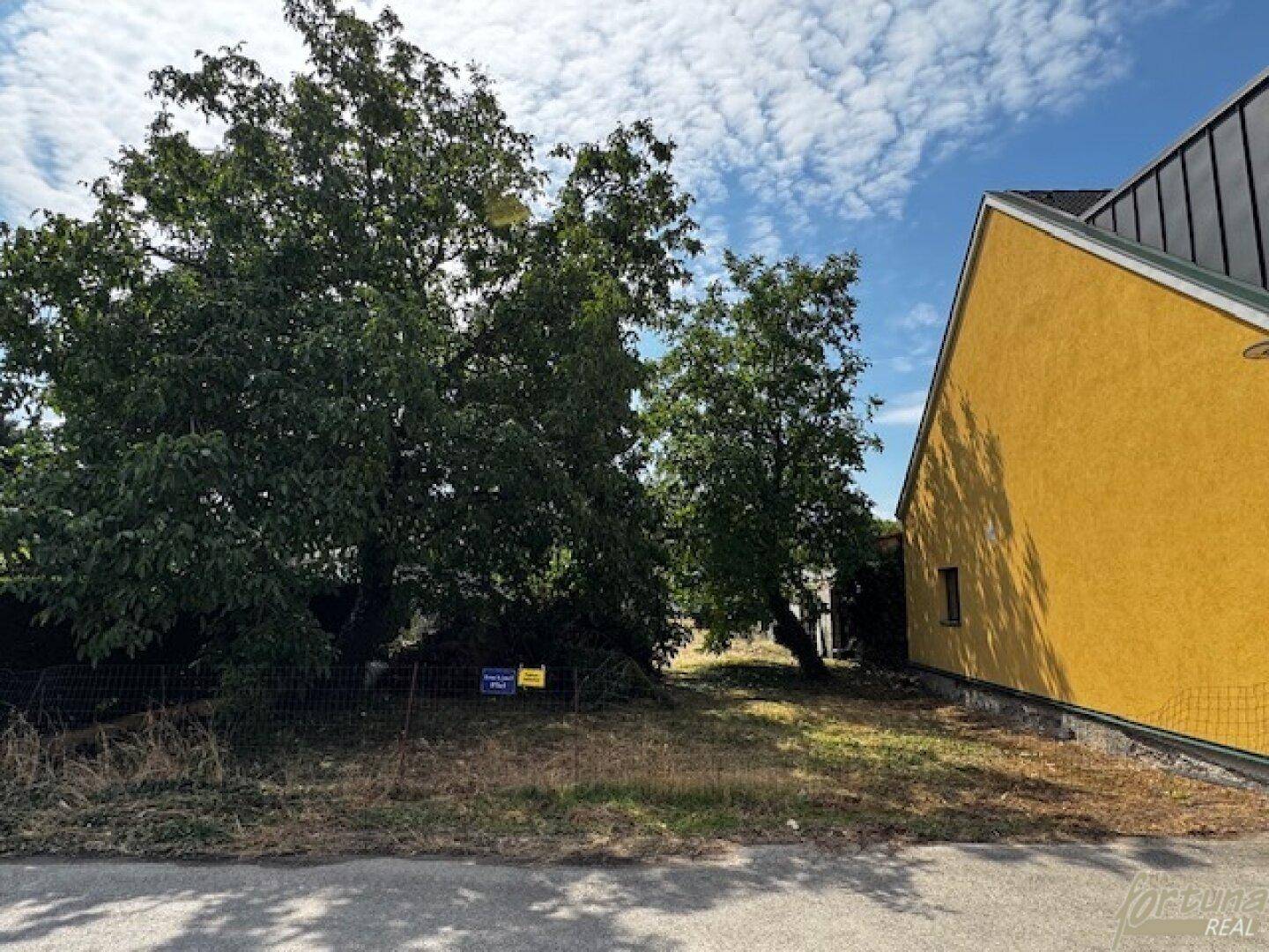 Grüne Parzelle mit großen Bäumen neben einem gelben Gebäude, ideal für einen Garten oder Neubau.