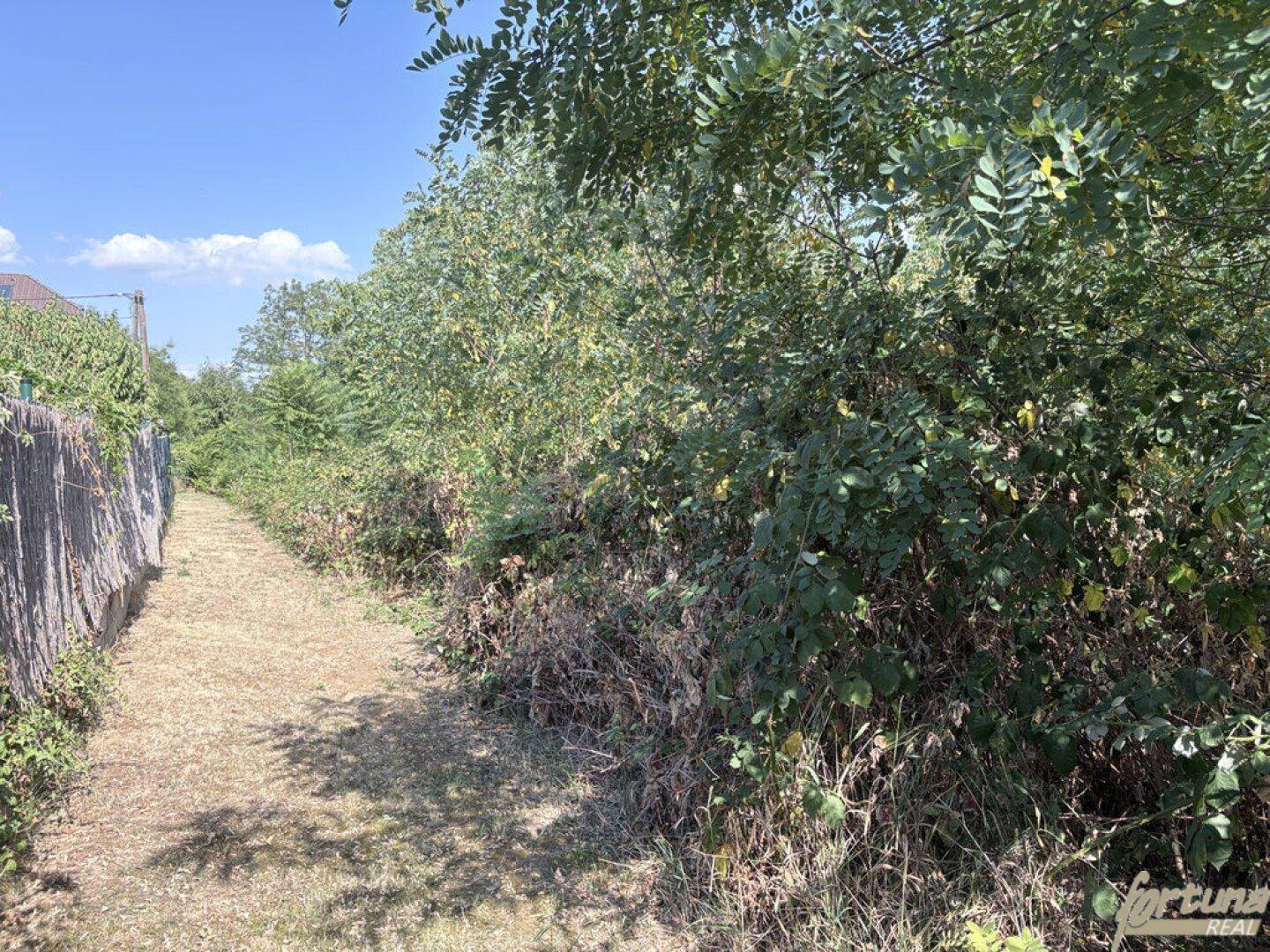 Unbefestigter Weg mit üppiger Vegetation und einem Holzzaun auf der linken Seite.