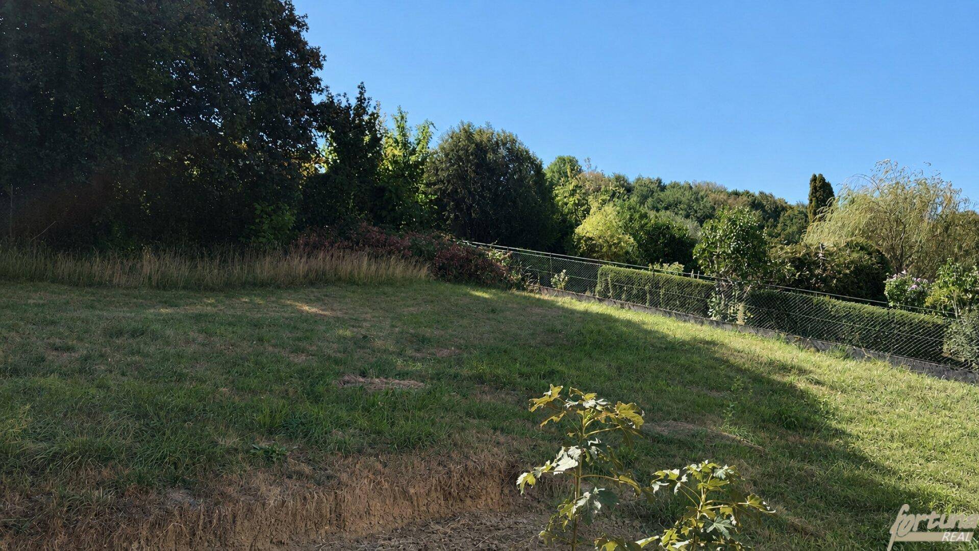 Großes grünes Grundstück mit Bäumen und weitem Blick unter blauem Himmel.