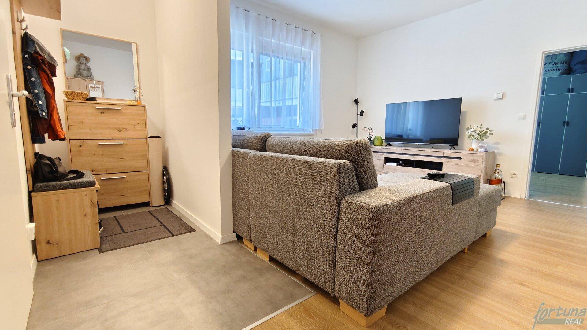 Offener Wohnbereich mit Fernseher und angrenzendem Eingangsbereich mit Garderobe, praktisch und einladend.